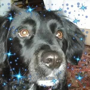 Meet your Posher, Vicki